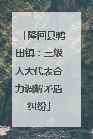 隆回县鸭田镇：三级人大代表合力调解矛盾纠纷