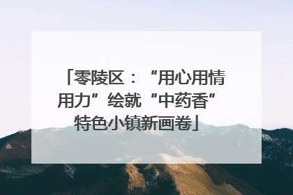 零陵区：“用心用情用力”绘就“中药香”特色小镇新画卷
