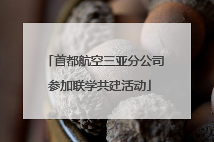 首都航空三亚分公司参加联学共建活动