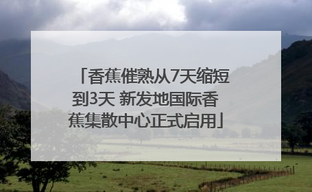 香蕉催熟从7天缩短到3天 新发地国际香蕉集散中心正式启用