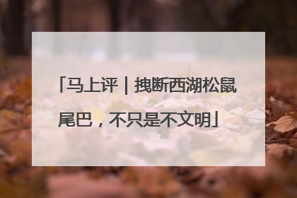 马上评｜拽断西湖松鼠尾巴，不只是不文明