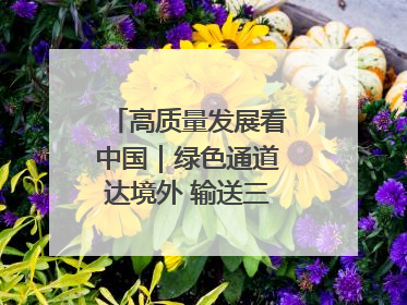 高质量发展看中国｜绿色通道达境外 输送三江“一口鲜”