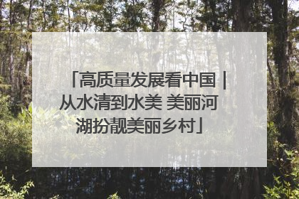 高质量发展看中国｜从水清到水美 美丽河湖扮靓美丽乡村