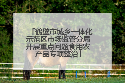 鹤壁市城乡一体化示范区市场监管分局开展重点问题食用农产品专项整治