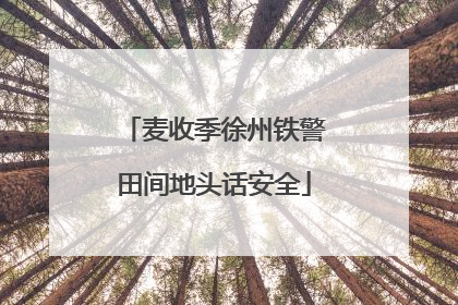 麦收季徐州铁警田间地头话安全