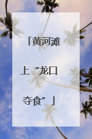 黄河滩上“龙口夺食”