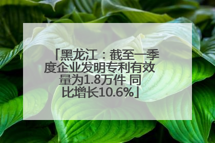 黑龙江：截至一季度企业发明专利有效量为1.8万件 同比增长10.6%