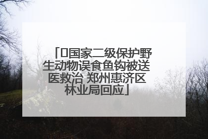 ﻿国家二级保护野生动物误食鱼钩被送医救治 郑州惠济区林业局回应