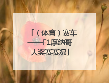（体育）赛车——F1摩纳哥大奖赛赛况