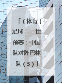 （体育）足球——世预赛：中国队对阵巴林队（3）