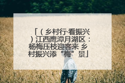 （乡村行·看振兴）江西鹰潭月湖区：杨梅压枝迎客来 乡村振兴添“梅”景
