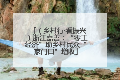 （乡村行·看振兴）浙江嘉善：“零工经济”助乡村民众“家门口”增收