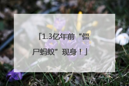 1.3亿年前“僵尸蚂蚁”现身！