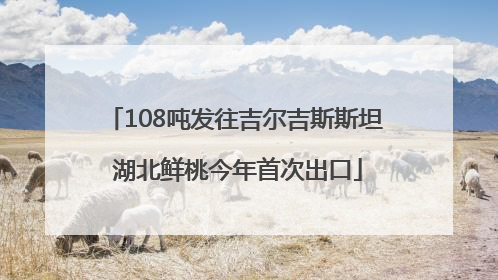 108吨发往吉尔吉斯斯坦 湖北鲜桃今年首次出口