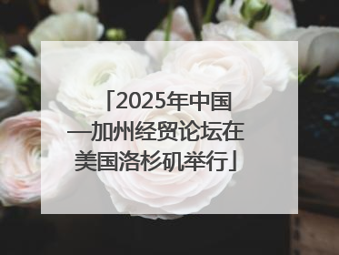 2025年中国—加州经贸论坛在美国洛杉矶举行