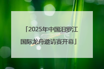 2025年中国汨罗江国际龙舟邀请赛开幕