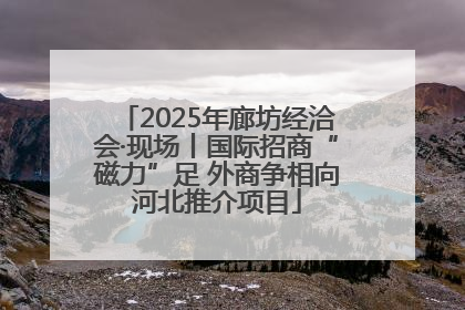 2025年廊坊经洽会·现场丨国际招商“磁力”足 外商争相向河北推介项目