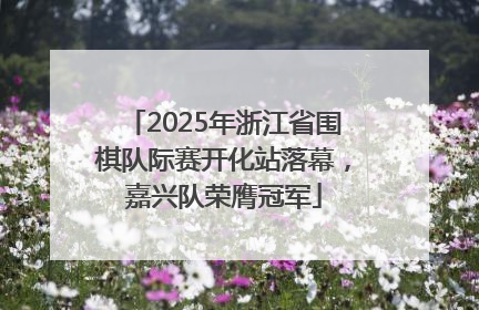 2025年浙江省围棋队际赛开化站落幕，嘉兴队荣膺冠军