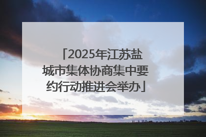 2025年江苏盐城市集体协商集中要约行动推进会举办