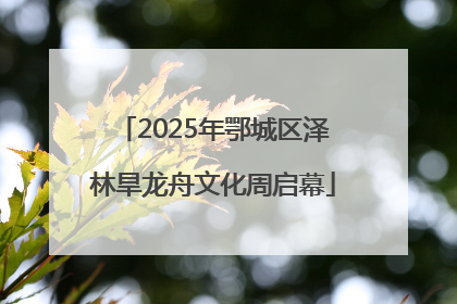 2025年鄂城区泽林旱龙舟文化周启幕