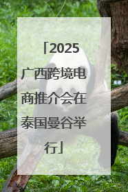 2025广西跨境电商推介会在泰国曼谷举行