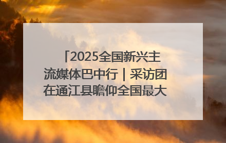 2025全国新兴主流媒体巴中行｜采访团在通江县瞻仰全国最大红军烈士陵园