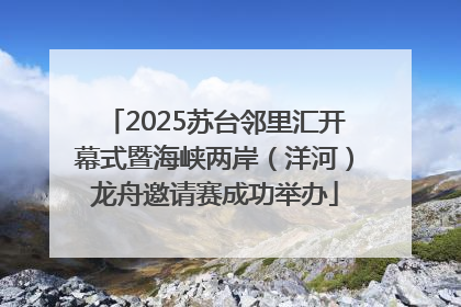2025苏台邻里汇开幕式暨海峡两岸（洋河）龙舟邀请赛成功举办
