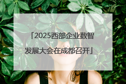 2025西部企业数智发展大会在成都召开