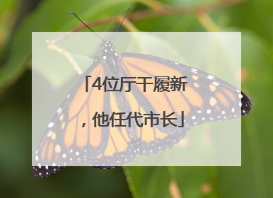 4位厅干履新，他任代市长