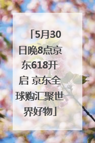 5月30日晚8点京东618开启 京东全球购汇聚世界好物