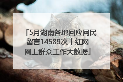 5月湖南各地回应网民留言14589次丨红网网上群众工作大数据