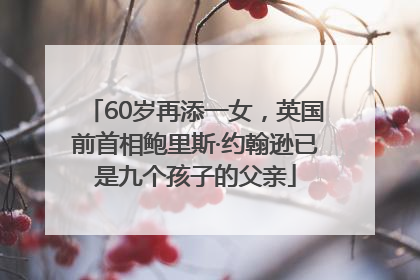 60岁再添一女，英国前首相鲍里斯·约翰逊已是九个孩子的父亲