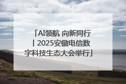 AI领航 向新同行丨2025安徽电信数字科技生态大会举行