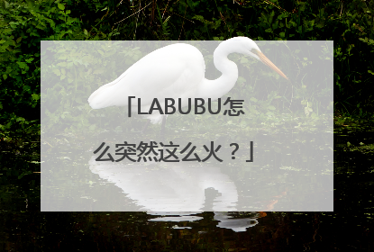 LABUBU怎么突然这么火？