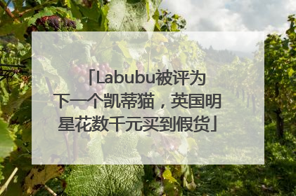 Labubu被评为下一个凯蒂猫，英国明星花数千元买到假货