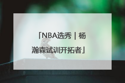 NBA选秀｜杨瀚森试训开拓者